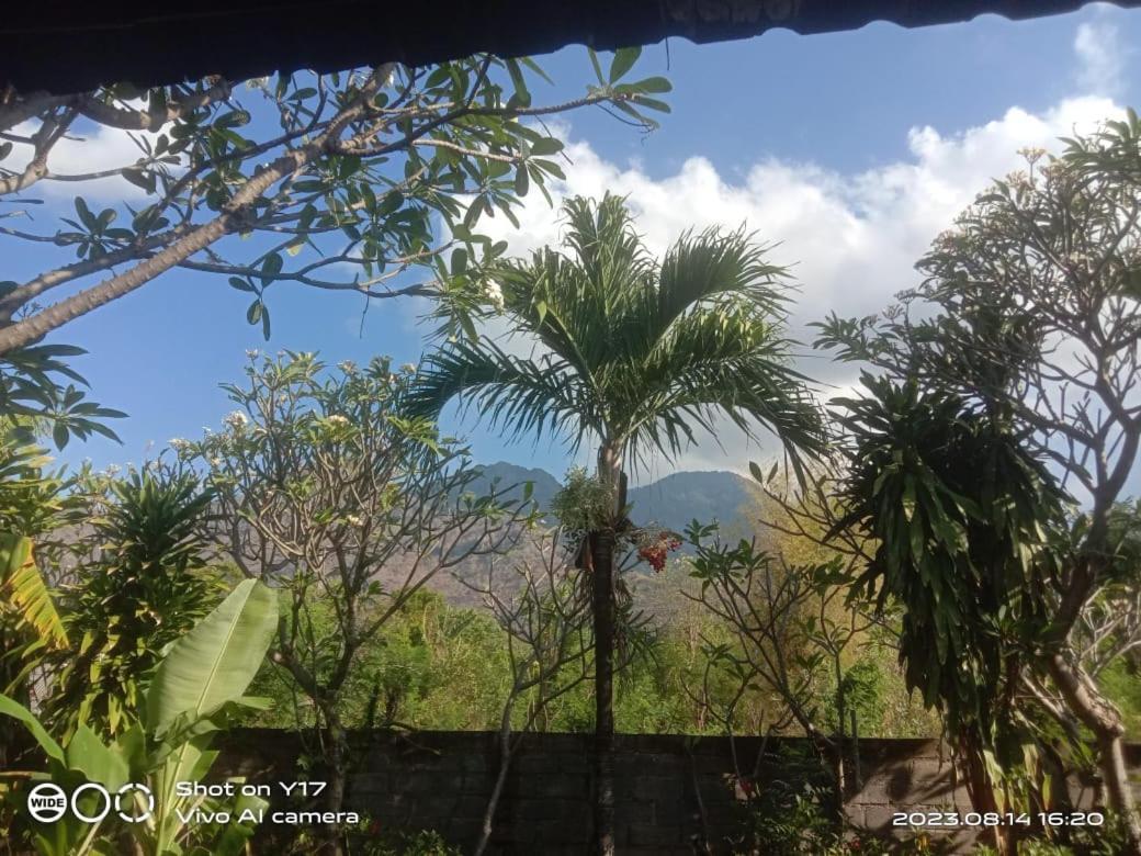 Tirta Bali Homestay Pemuteran  Luaran gambar