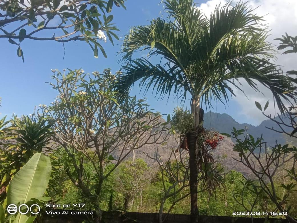 Tirta Bali Homestay Pemuteran  Luaran gambar
